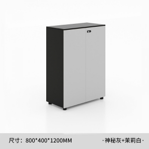 办公室文件柜资料档案柜密码锁柜子储物柜简约组合办公柜地柜矮柜