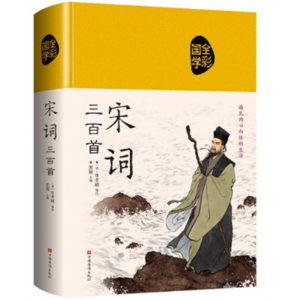 宋词三百首 原著全集无删减青少年精装布面珍藏版彩绘版哲学书正版