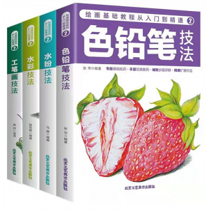 绘画基础教程  从入门到精通.（全四册）北京工艺美术出版社