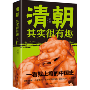 清朝其实很有趣 中国通史古代史历历史知识读物唐史宋史明史清史书籍