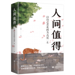人间值得 : 以自己喜欢的方式过一生（32开平装）中国华侨出版社