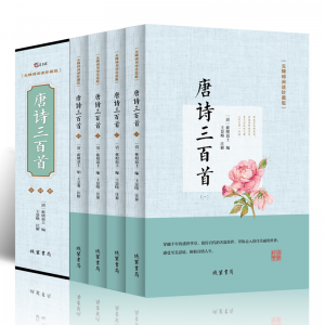 儿童启蒙书小学生一年级专用阅读唐诗300首