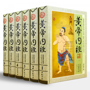 黄帝内经 中医书籍大全 本草纲目黄帝内经原版全套全集正版文详解原典