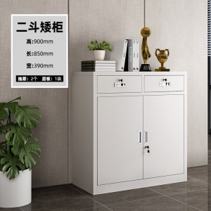 中二斗矮柜铁皮柜文件柜档案柜资料柜钢制办公柜带锁
