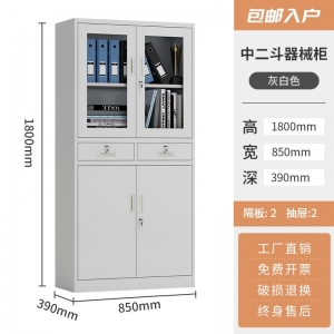 中二斗器械柜钢制收纳资料档案柜铁皮柜文件柜办公室铁柜子