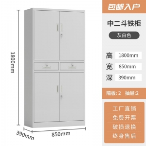 中二斗文件柜办公室资料柜档案收纳带锁矮柜储物柜靠墙财务凭证柜铁皮柜文件柜