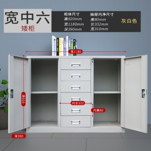 宽中六斗矮柜财务凭证柜储物收纳柜文件柜铁皮柜办公室钢柜资料档案柜