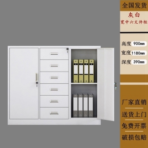宽中六斗柜财务凭证柜储物收纳柜文件柜铁皮柜办公室钢柜资料档案柜