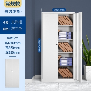 文件柜铁皮柜办公室钢柜资料档案柜财务凭证柜储物收纳柜厂家供货
