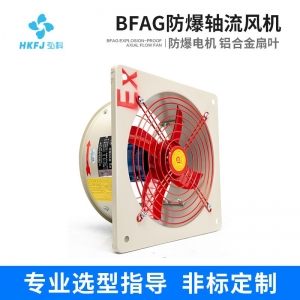 弘科 定制BFAG工业强力壁式隔爆通风换气扇轴流风机防爆排风扇