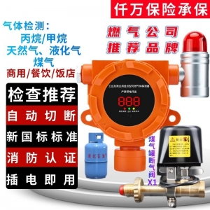 小型餐饮商用工业燃气报警器煤气罐泄漏无线钢瓶机械手防爆警报器