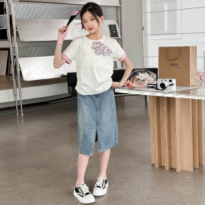 女童连衣裙夏季2024新款儿童女大童女孩夏装国风短袖牛仔裙子套装
