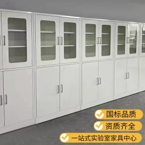 定制实验室全钢药品柜试剂柜样品柜仪器柜器皿柜耐酸碱厂家样品柜