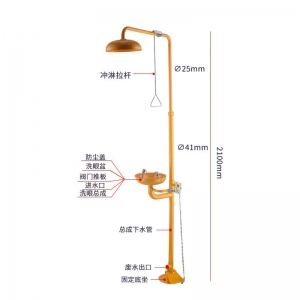 304不锈钢紧急复合喷淋洗眼器 双口正品实验室桌面安全洗眼器
