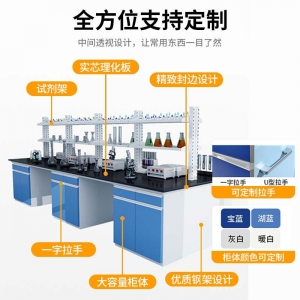 定制实验台钢木中央台通风柜台化学实验室操作台耐腐蚀学校实验桌