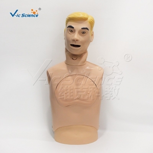 高级鼻胃管与气管护理模型仿真仿真模型