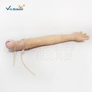 高级手臂静脉穿刺及肌肉注射训练模型（带循环装置）