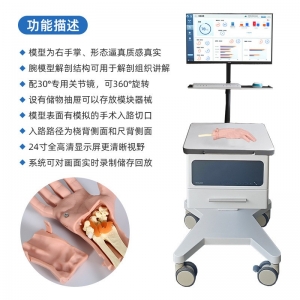 腕关节手术训练箱套餐模拟手术器材器械训练器厂家定制批发