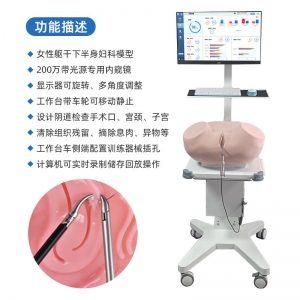 厂家定制人体宫腔镜手术室模拟训练器仿真模型真实临床等级器械