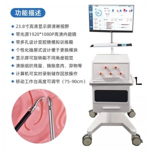 人体宫腔镜模拟训练器配置训练模块手术模拟教学模具模拟训练系统