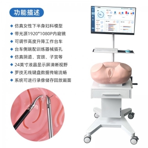 宫腔镜手术模拟训练器妇科腹腔镜宫腔镜双镜医学院模拟定做