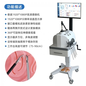厂家定制宫腔镜手术模拟训练器医学院学生教学模具内窥镜咬切钳