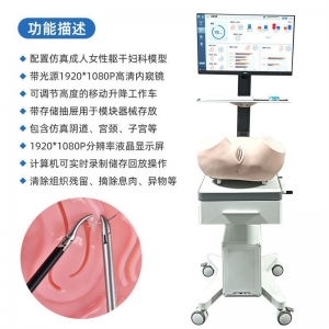 宫腔镜手术模拟训练器内窥镜练习训练器套餐 医学院学生教学定制