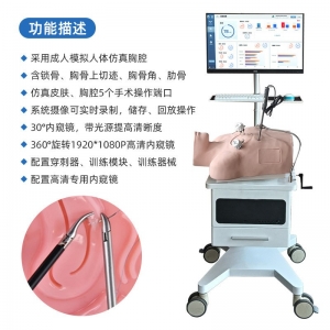 人体胸腔镜手术模拟训练器手术模拟器教学内置内窥镜胸腔镜训练器