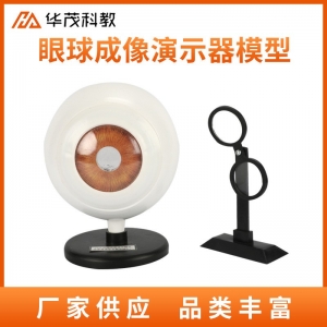 眼球成像演示器模型初中生物实验器材 眼球成像演示仪教学仪器