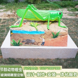 生物园八大生物教学模具 节肢动物蝗虫模型 学校生物知识普及摆件