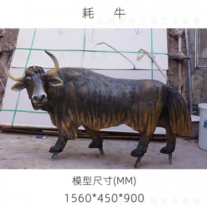 生物园仿真动物教学模具狼狗牦牛校园学校生物知识普及