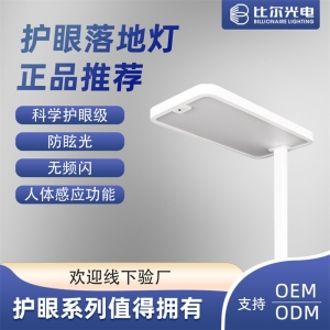 定制学生护眼学习灯工作灯落地护眼灯大台灯全光谱落地灯ins风