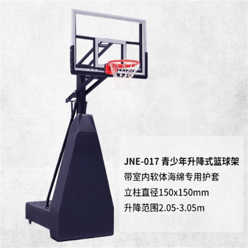 校园篮球架成人比赛标准高档可移动升降室内网红明星同款图1