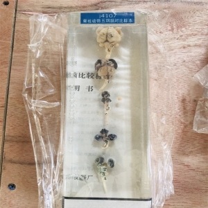 学校实验教学中小学教学用品脊椎动物五纲心标本