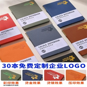 校园a5笔记本本子定制可印logo商务办公司工作会议记录本记事本软皮面成人日记本高颜值加厚简约学生A5（侧面插笔）200页