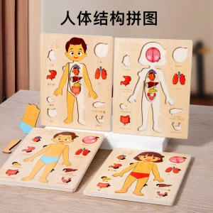 儿童科教启蒙多层人体拼图认知益智早教身体结构内脏骨骼器官拼图