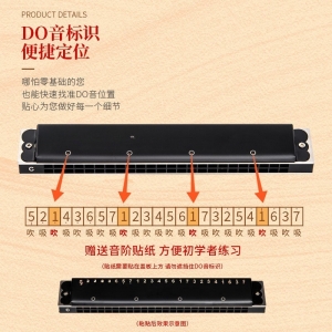 学校教学音乐器材 24孔复音口琴成人初学专业演奏乐器