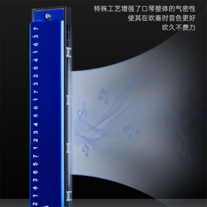 学校教学音乐器材24孔复音口琴T2400儿童学生初学入门