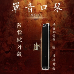 学校教学音乐器材24孔单孔单音口琴儿童成人初学入门演奏
