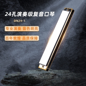 学校教学音乐器材24孔复音口琴儿童成人初学入门练习乐器