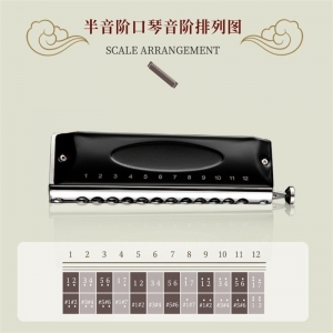 学校教学音乐器材12孔半音阶口琴无膜片成人初学者入门专业演奏