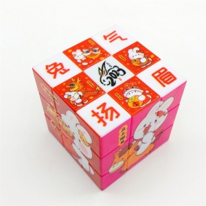 学校教学益智科教玩具logo节日礼品魔方