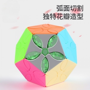 学校教学益智科教玩具科教花瓣异形创意玩具 解压魔方