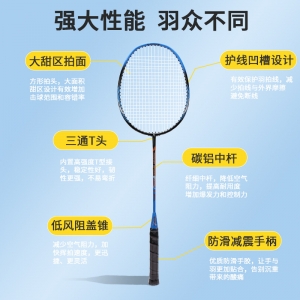 羽毛球拍学生成人耐用专业球拍 碳素纤维初学者羽毛球拍双拍