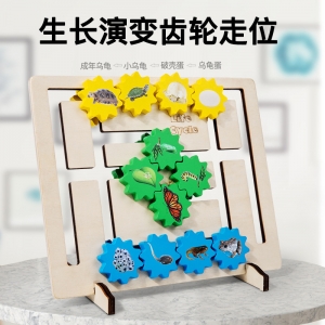 早教生命成长周期演变齿轮走位动物认知儿童启蒙益智趣味玩具