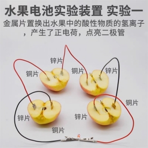水果电池科技小制作小发明儿童科学实验手工作业儿童材料