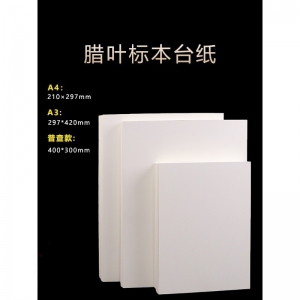 标本台纸腊叶植物标本夹中药普查专用40*30cm国家标准款a4A3卡纸
