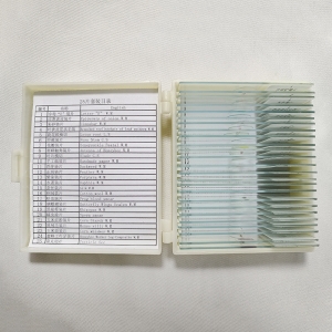 动物细胞分裂显微镜玻片25片装生物切片套装植物细胞显微玻片
