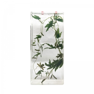 植物浸制标本玻璃瓶装自然保色教学中草药教学器材