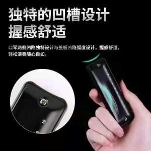 十孔布鲁斯口琴初学者蓝调嘉德瑞专业演奏级c调10孔paddy口琴忍者A调B调C调学校练习家庭用